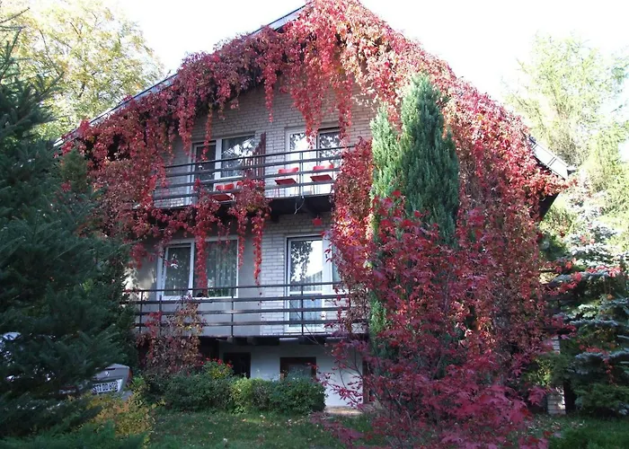 I Przy Sosnowej Apartamento